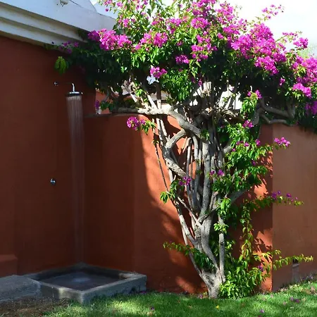 The Peaches 45 & 46 Lejlighed *